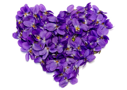 dalybeauty violet perfumes